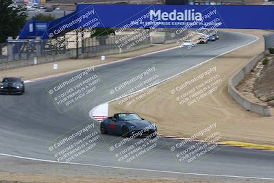 media/Oct-01-2022-Speed SF (Sat) [[ae32c63a98]]/Gold Group/Session 2 (Turn 5)/